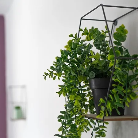 Mmr Homes Carlisle (Cumbria)